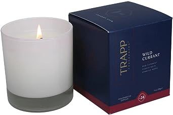 Trapp No. 24 - Wild Currant - 7 oz. SignatureCandle - Aromatic Home Fragrance with Fruity Scent of Red Currant, Cassis Noir, & Spanish Moss Notes - Petrolatum Wax