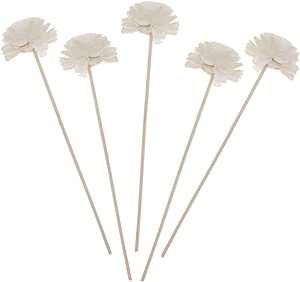 DECHOUS 5 Pcs Scent Diffuser Living Room Decor Room Diffuser Sticks diffusers Home House air fresheners Wedding Flowers air Fittings Rattan Reed Stalk Accessories Bamboo Indoor Flower Vine