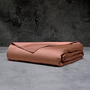 LUXOME Duvet Cover | 100% Viscose from Bamboo | Silky Soft Feel | Thermal-Regulating | 2X Cover Ties | Full/Queen - 90"x98" | Terracotta
