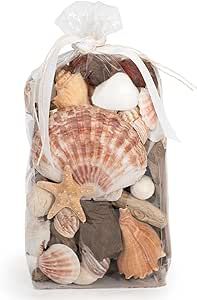ANDALUCA Seashell Driftwood Home Fragrance Potpourri Vase & Bowl Filler Decor (Coral Beach)
