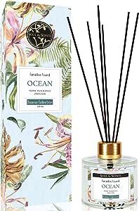 Soul & Scents Reed Diffuser Set | 4.06 oz (120ml) Ocean Scented Diffuser with Free Fiber Sticks (1 Pack) | Home Fragrance Essential Oil Reed Diffuser for Bathroom Shelf Decor, Office & Bedroom