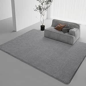 DweIke Modern Area Rugs for Bedroom Living Room, 4x6 Feet, Thickened Memory-Foam Indoor Carpets, Minimalist Style Carpet Suitable for Boys Girls Teenagers and Adults with Super Soft Touch, Grey