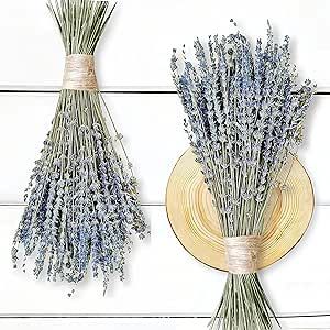 MAQ's Dried Lavender Bundles, Natural Dried Lavender Flowers 16-17“ (300 Stems) for Home Wedding Decoration Flower Arrangements Home Fragrance (2 Bundles)